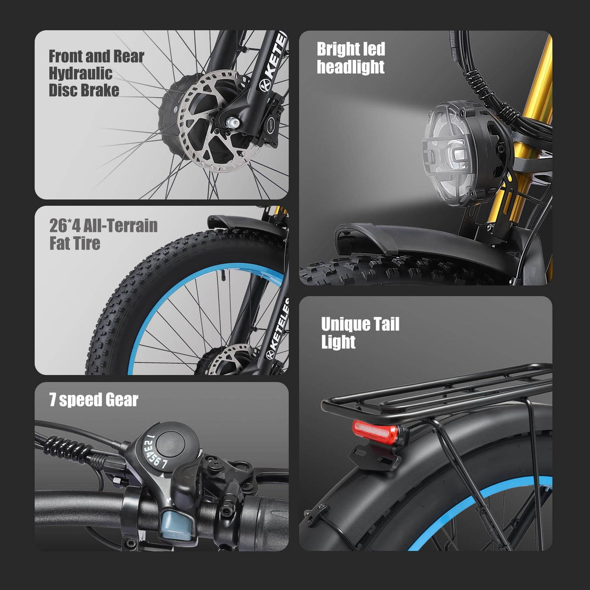 K800P 48V 23AH Dual Motor Electric Bike for Adults
