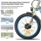 K800P 48V 23AH Dual Motor Electric Bike for Adults